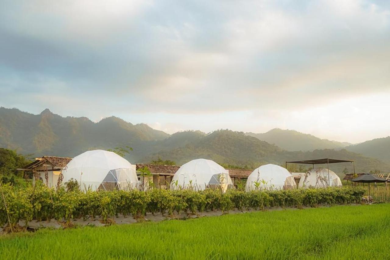 Borobudur Luxury Glamping Magelang Luaran gambar