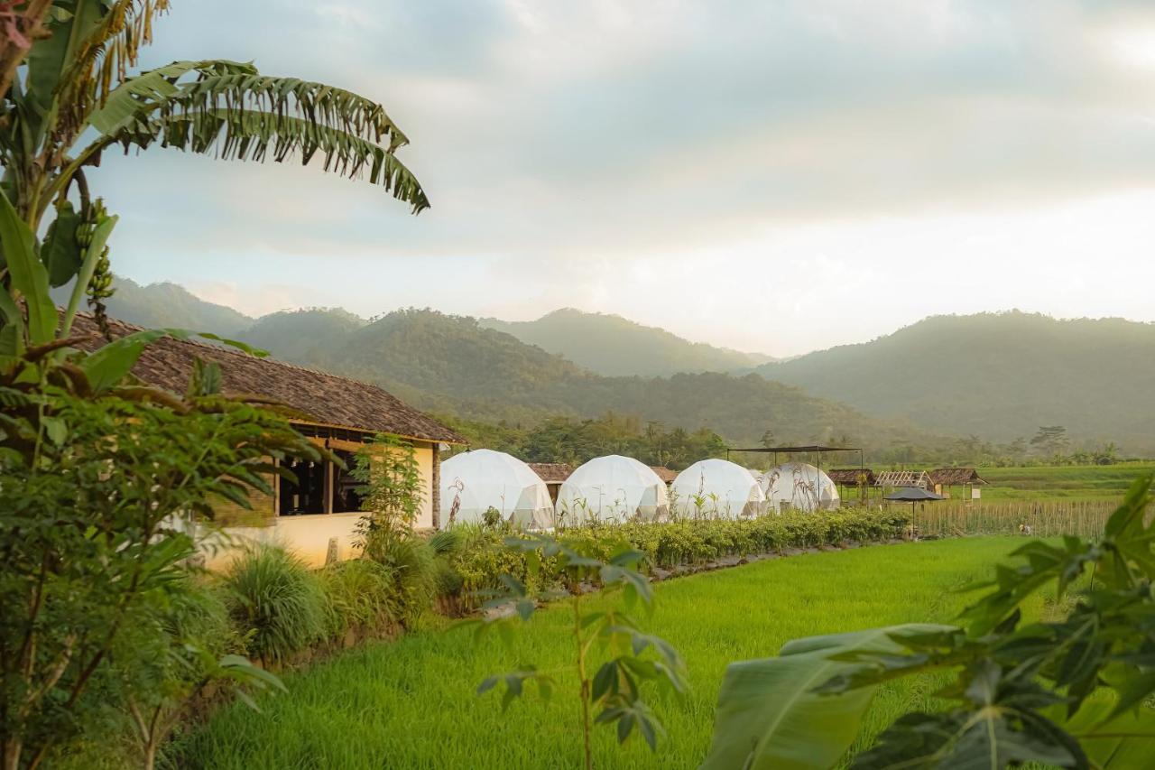 Borobudur Luxury Glamping Magelang Luaran gambar