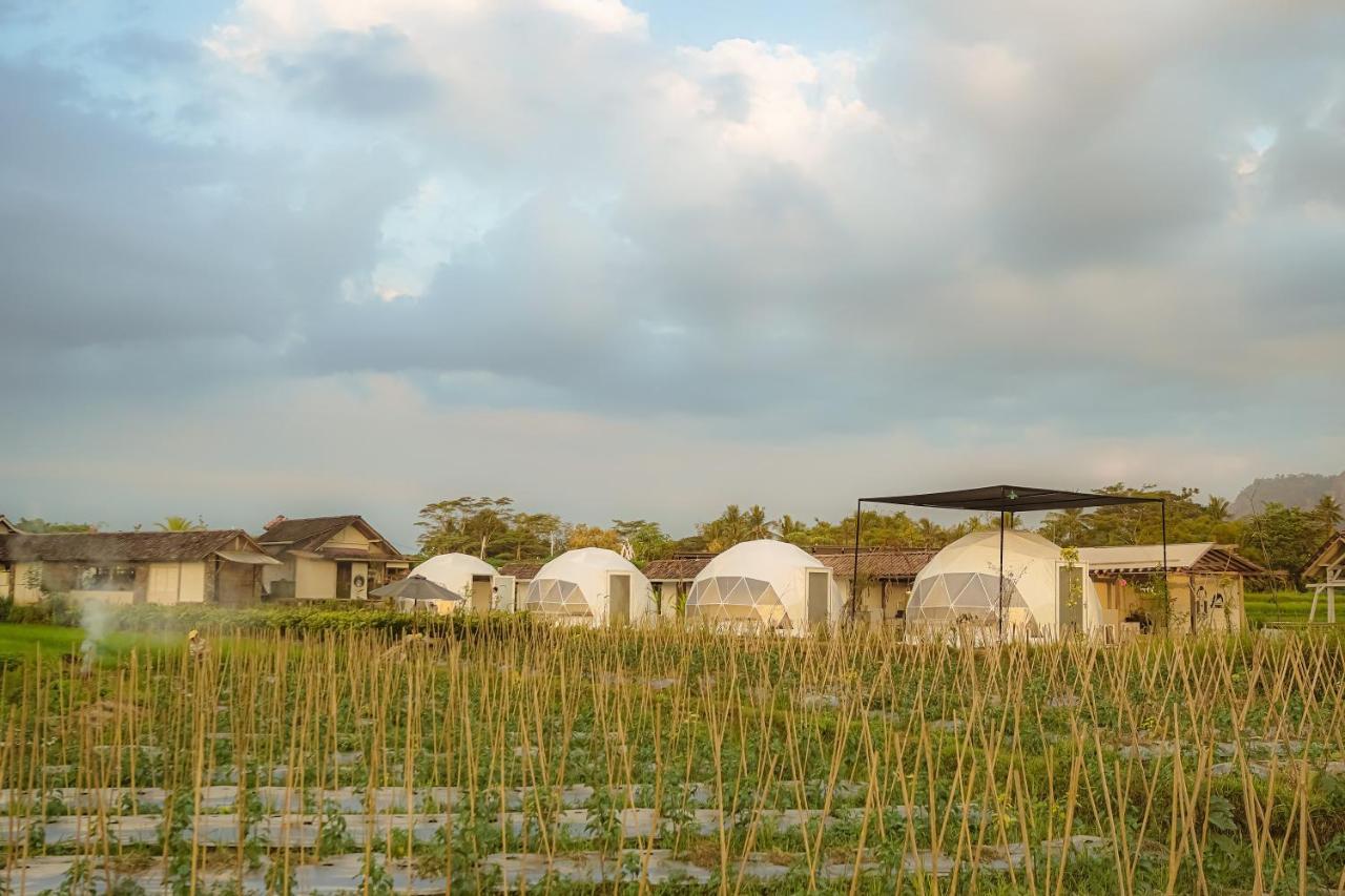 Borobudur Luxury Glamping Magelang Luaran gambar